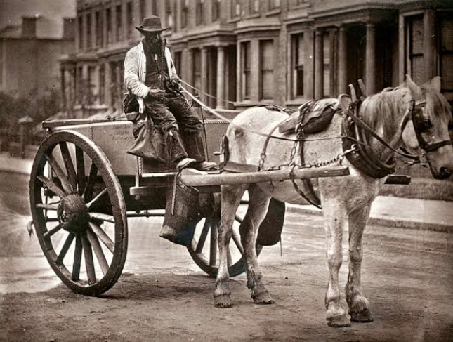 Period photograph of a carman driving a horse-drawn two-wheeled cart